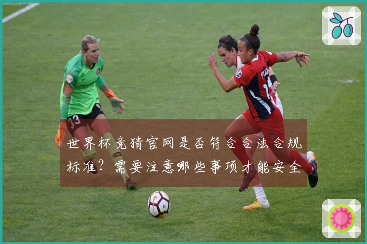 世界杯竞猜官网是否符合合法合规标准？需要注意哪些事项才能安全下注