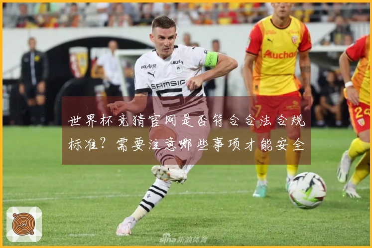 世界杯竞猜官网是否符合合法合规标准?需要注意哪些事项才能安全下注